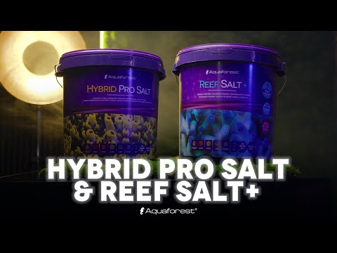 AF Reef Salt+ 5kg