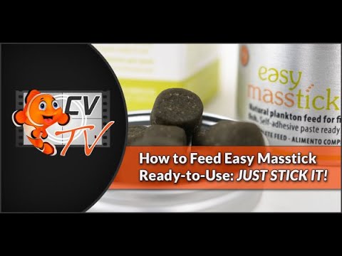 EasyReefs EasyMasstick (40g/80g/650g) (for finicky fishes) (06/2026)