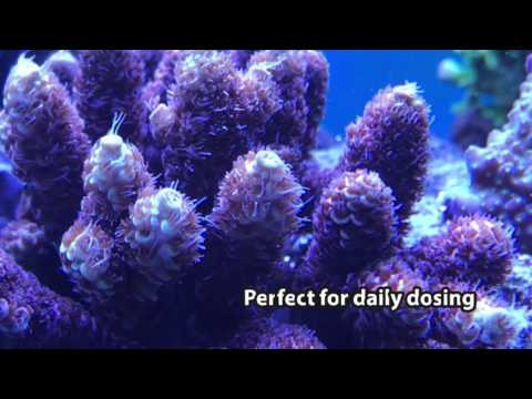 Easyreefs Easybooster 25