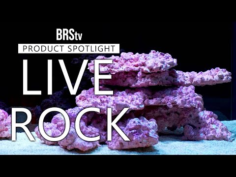 Aquaforest Rock - 10Kg (Arch/ Base/ Shelf/ Mix )