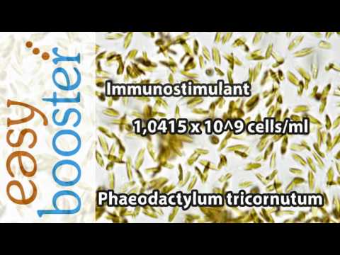 EasyReefs Easybooster Nano (90ml/250ml) (phytoplankton gel)