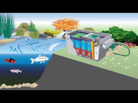 OASE Bitron C 24W-110W (UVC Clarifier) (patent self cleaning design)