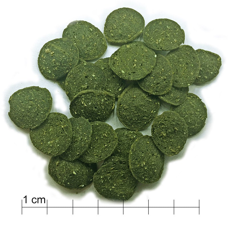 DIS Pleco & Catfish Algae Wafer 50g