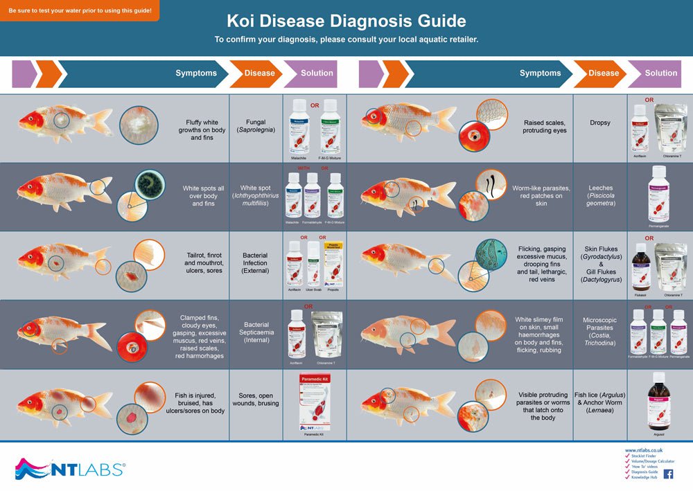 NT LABS Koi Care Chloramine T 250g