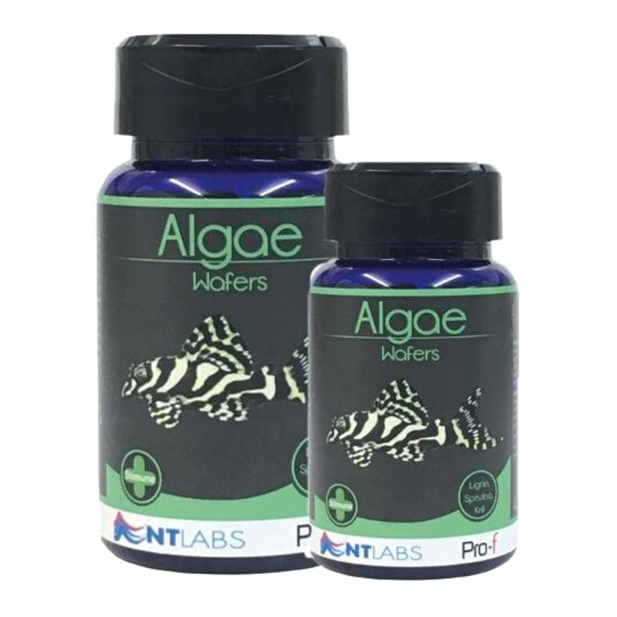 NTLABS Pro-f - Algae Wafers 40g