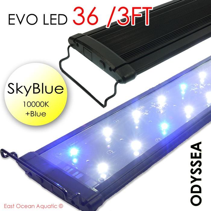 ODYSSEA EVO Led 36" 72W Skyblue (10000K+blue)