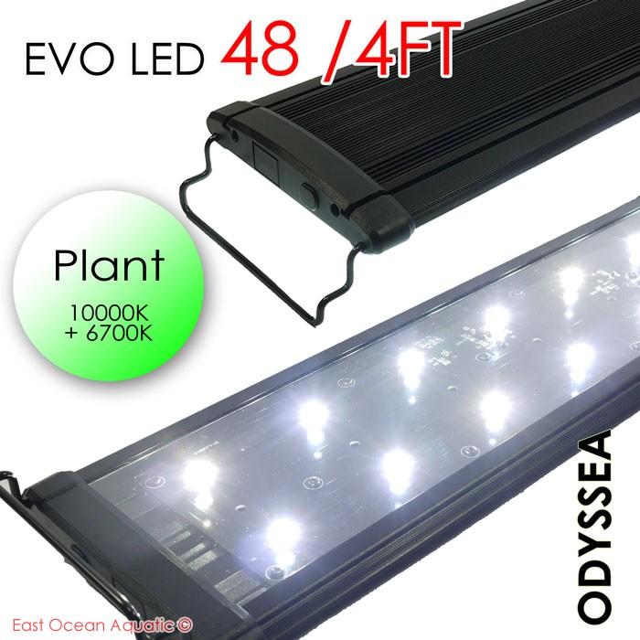 ODYSSEA EVO Led 48