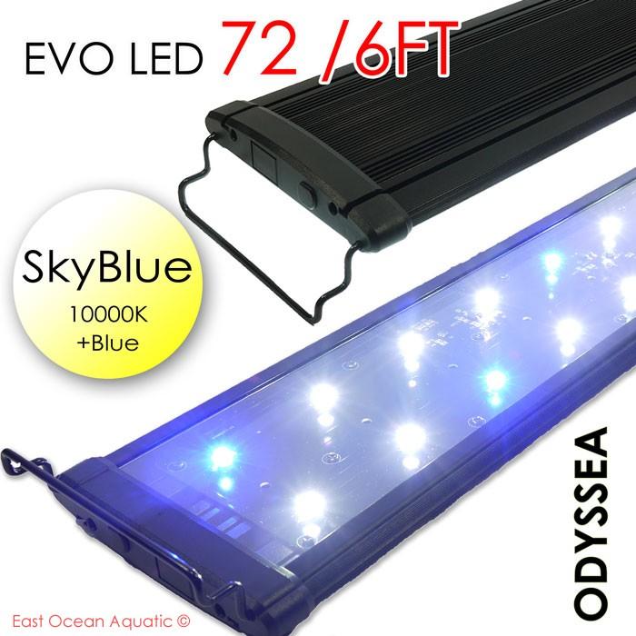 ODYSSEA EVO Led 72