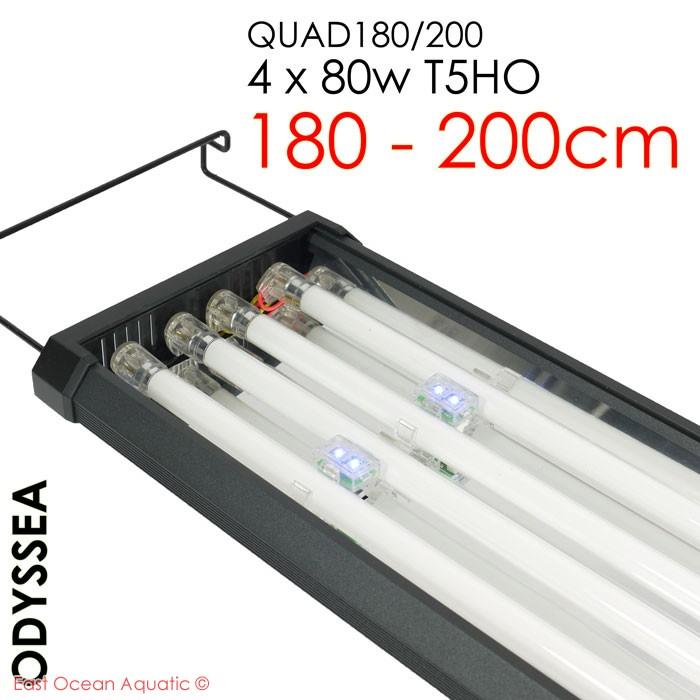 ODYSSEA QUAD 180/200 180cm T5HO 80W x4