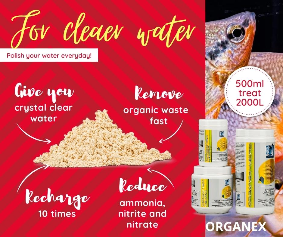 ORCA LABS OrganEX (250ml - 1L) powerful waste absorber