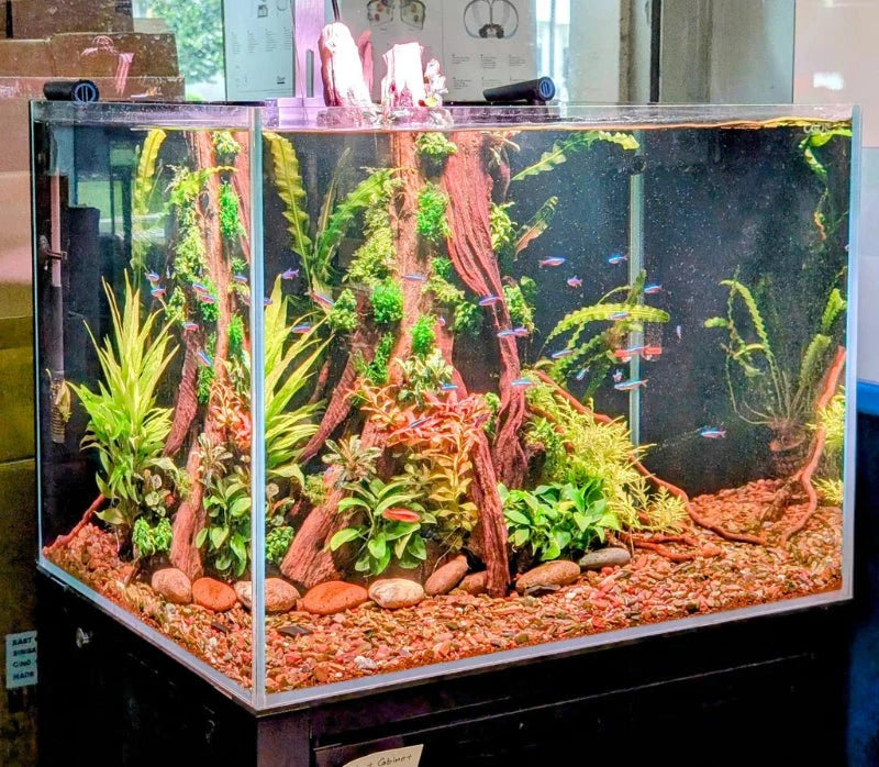 ANS Nature Scape Stump 30/40/50