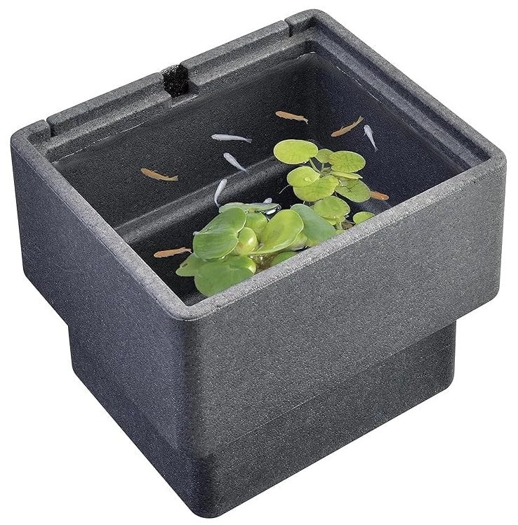 GEX Killifish Foam Case M L