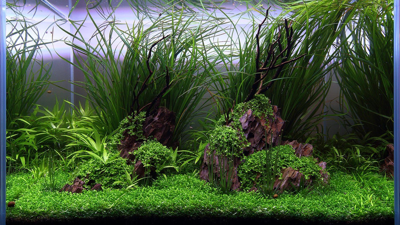 TROPICA Aquarium Soil 3L /9L