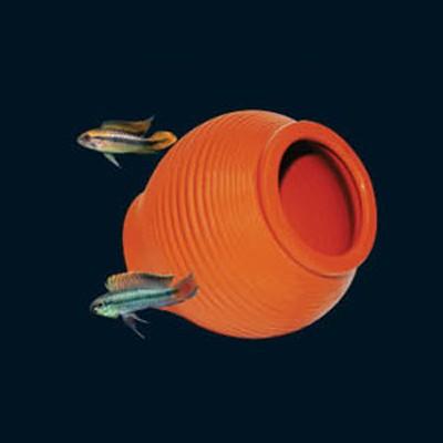 UP AQUA Deco (Various Design)