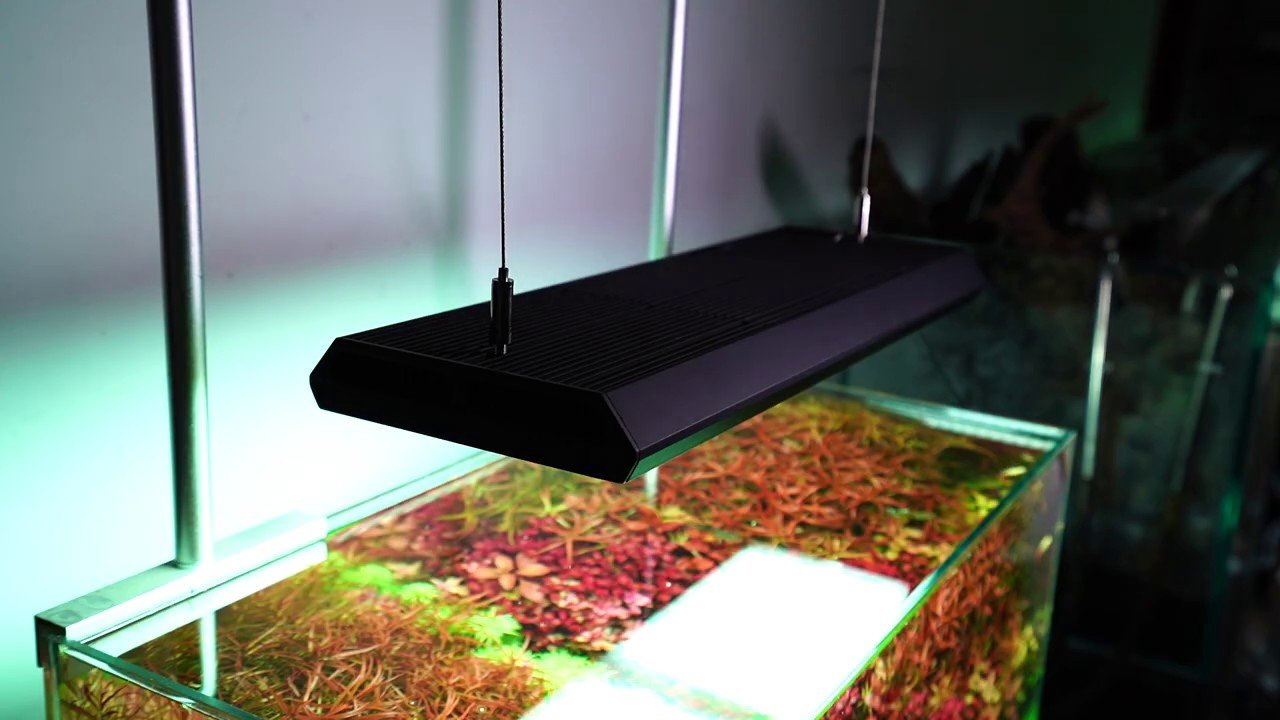 Chihiros VIVID 2 Black