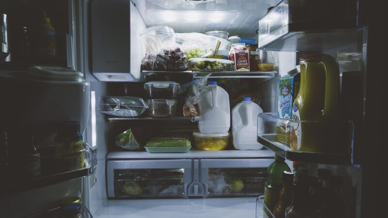 bottles, food, gallon, inside, light, milk, refrigerator, shelf, vegetables, refrigerator, refrigerator, refrigerator, refrig