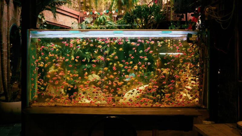 Large aquarium filled with many small fish.