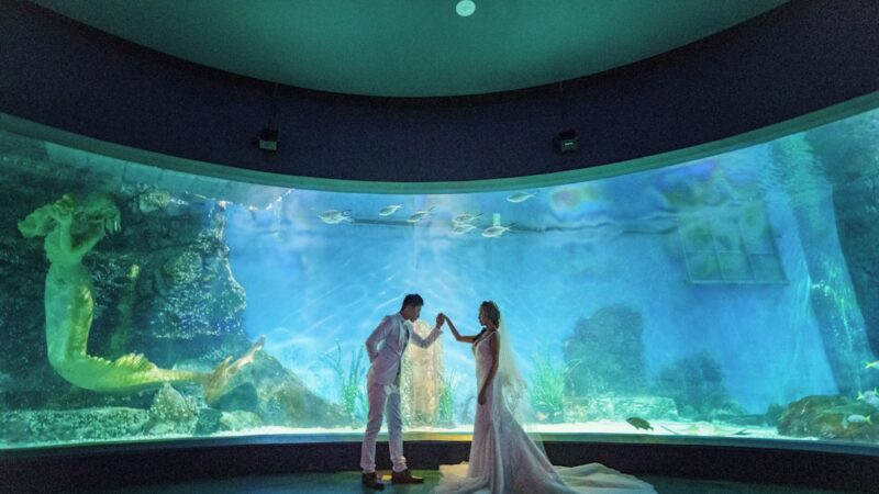 a bride and groom standing in front of a large aquarium