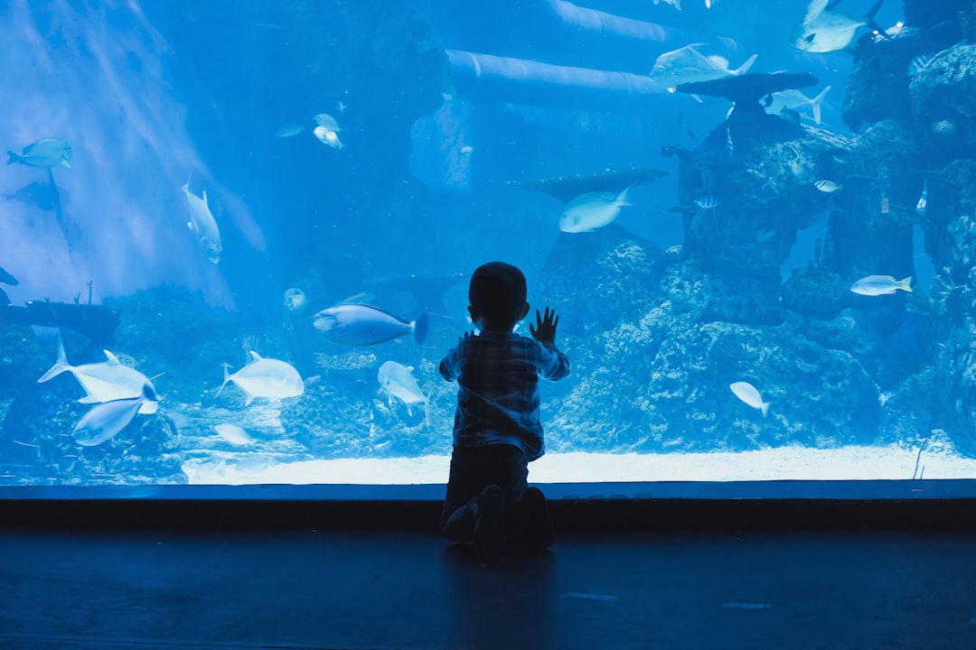 Best Aquarium Setup for Children: Safe, Fun and Educational