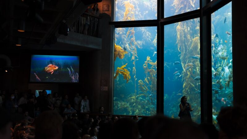 Aquarium for Conference Centres: Professional Ambiance