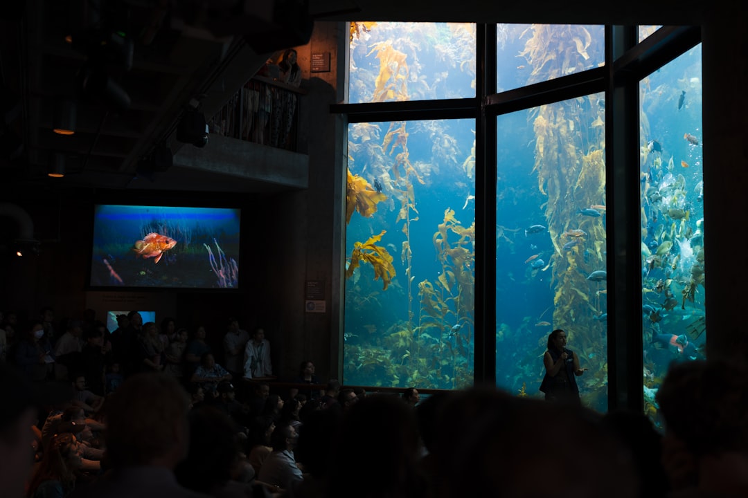 Aquarium for Conference Centres: Professional Ambiance