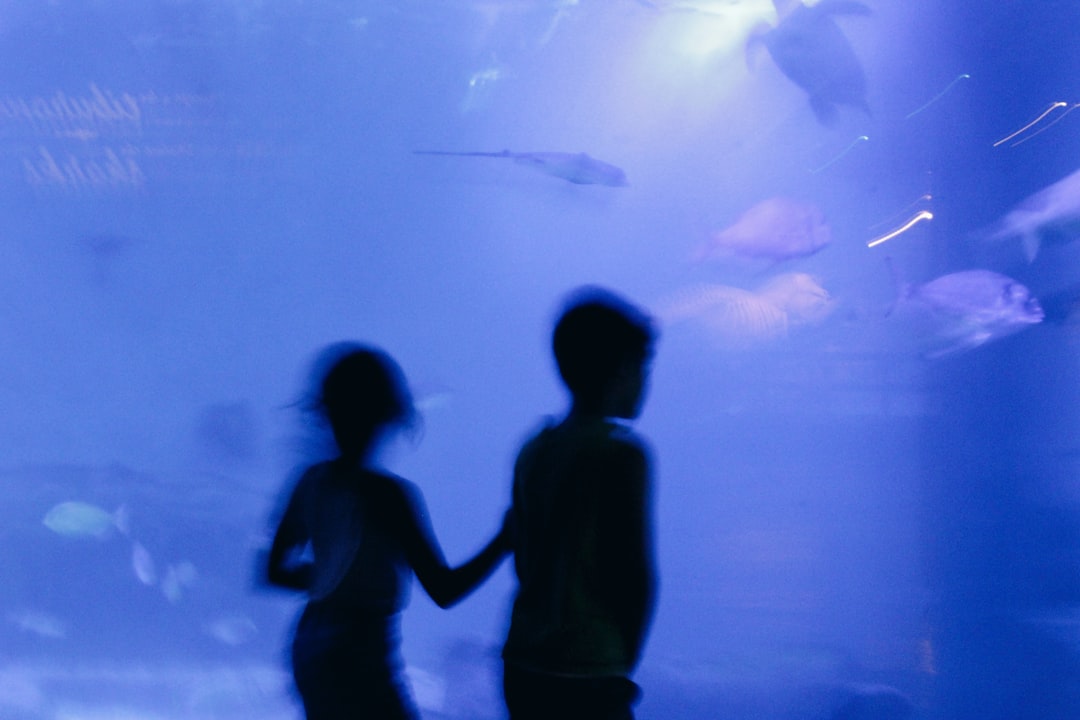 Aquarium as a Hobby for Couples: Build Something Together