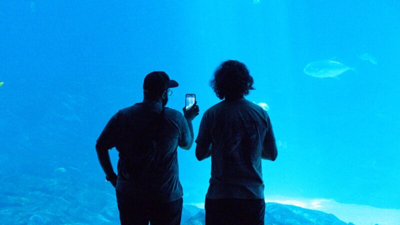 Two people taking photos at an aquarium.