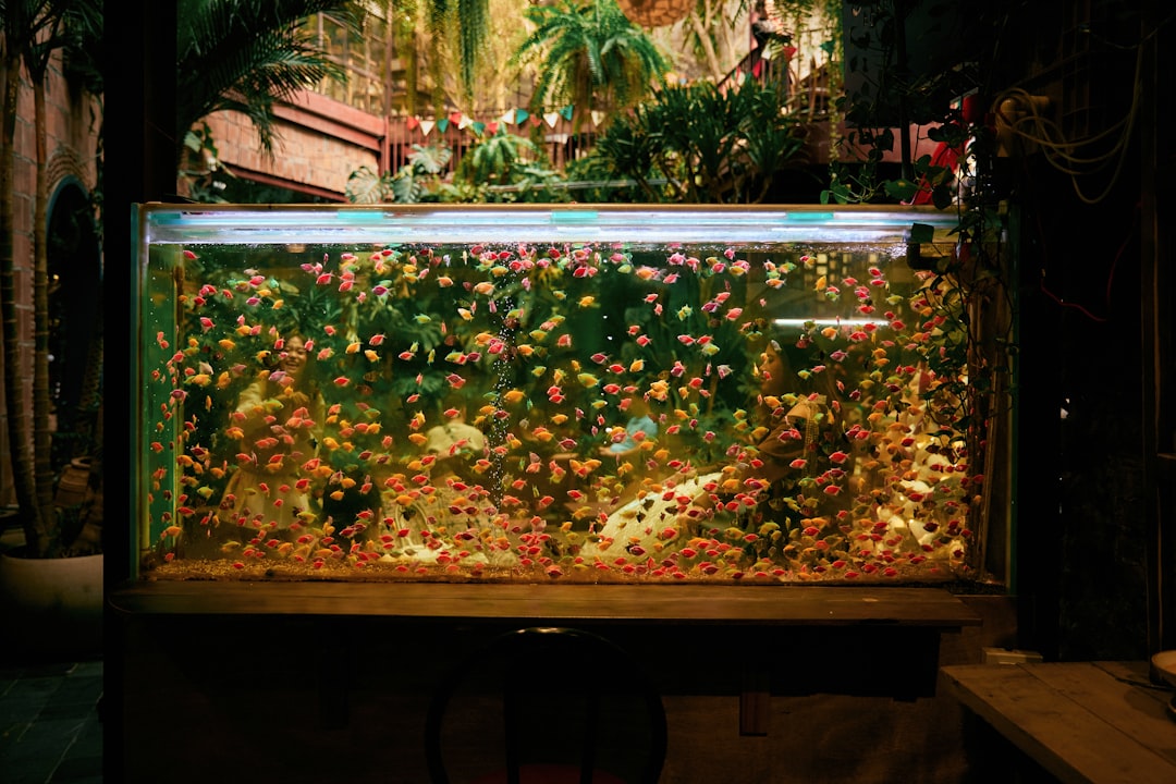 Aquarium for Florist Shops: Plants Above, Fish Below