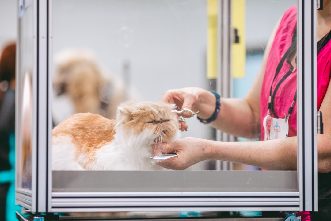 Aquarium for Pet Grooming Salons: Calm Waiting, Happy Pets