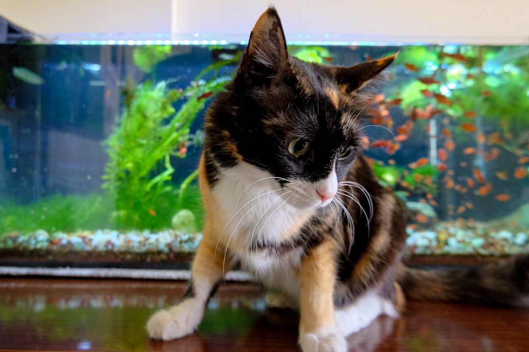 Aquariums for Pet Therapy: Calming Effects Backed by Science