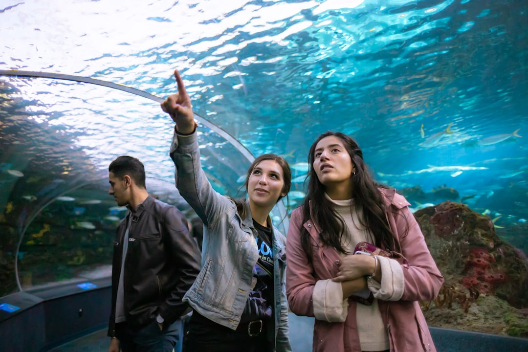 Best Aquariums for Students in Singapore