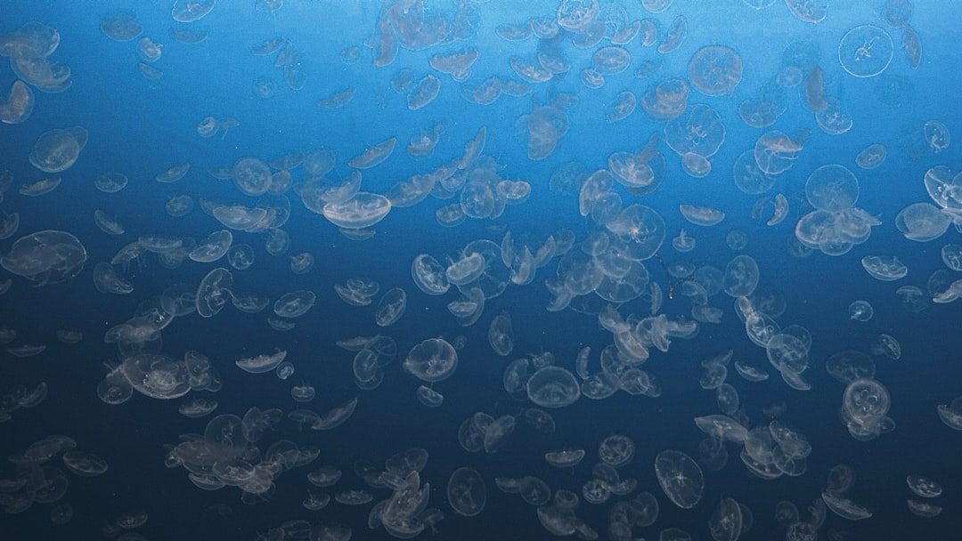 Hydra Removal in Aquariums: Traps, Treatment and Prevention