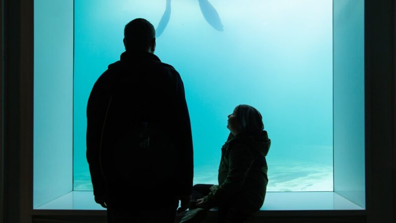 Aquarium LED Driver Anatomy Glossary Guide