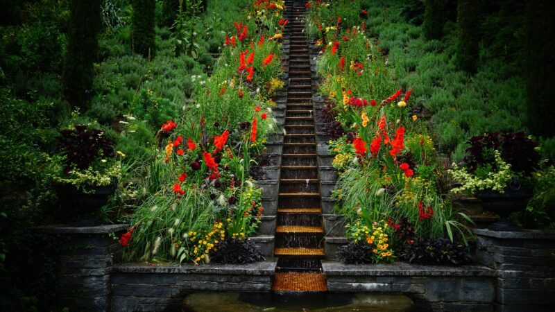 15 Mistakes New Aquarium Hobbyists Make and How to Avoid Them