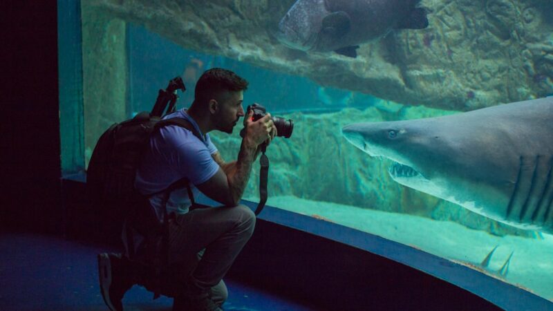 Aquarium Photography Guide: How to Take Stunning Tank Photos