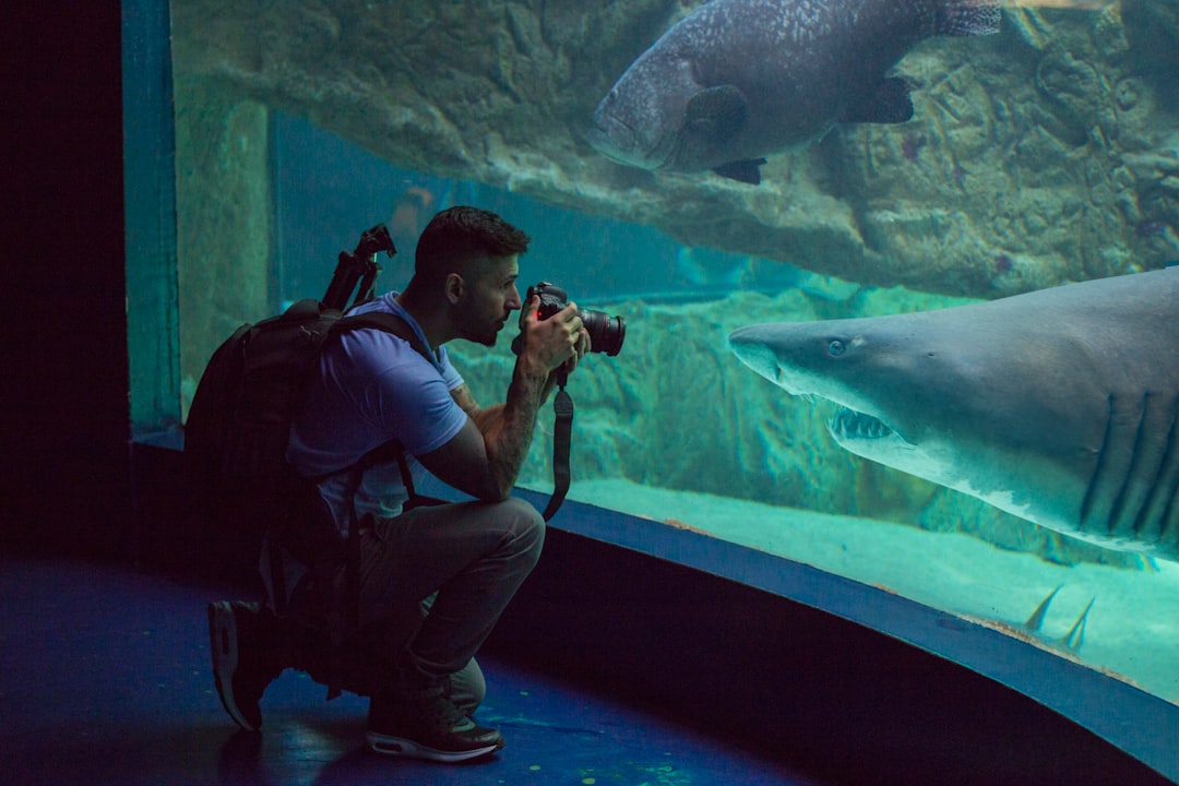 Aquarium Photography Guide: How to Take Stunning Tank Photos