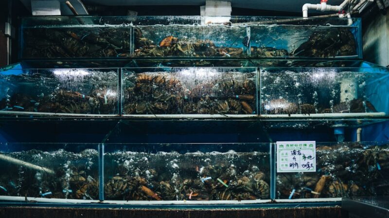 a large display case filled with lots of dead bugs