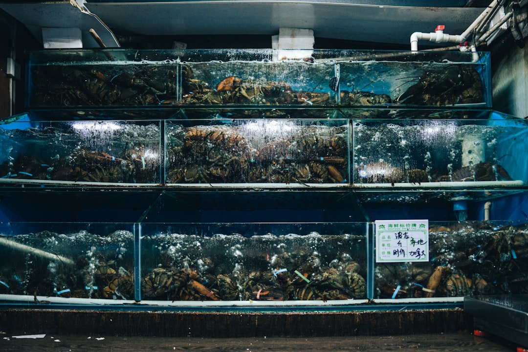 a large display case filled with lots of dead bugs