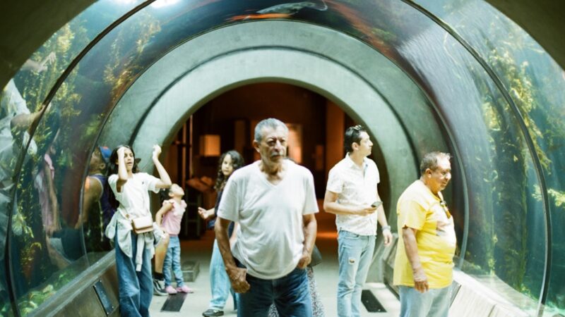 Going on Holiday? How to Keep Your Fish Alive While Away