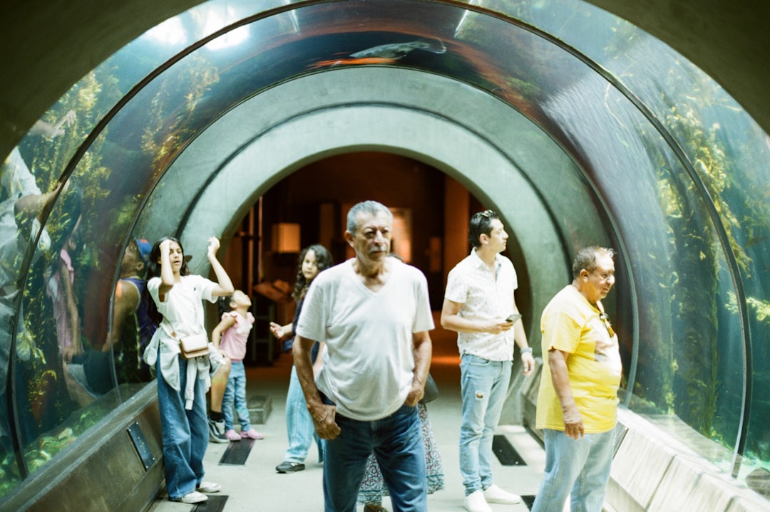 Going on Holiday? How to Keep Your Fish Alive While Away