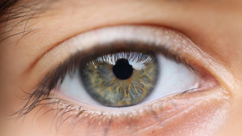 eye, vision, sight, macrography, portrait, girl