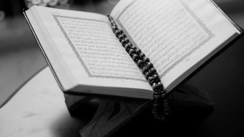 book, quran, open, pages, open book, open quran, islam, holy, muslim, ramadan, religion, culture, religious, pray, prayer, fa