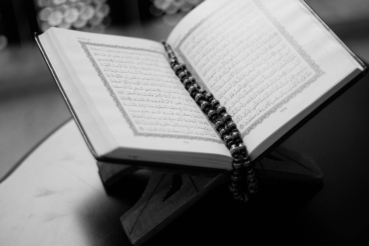 book, quran, open, pages, open book, open quran, islam, holy, muslim, ramadan, religion, culture, religious, pray, prayer, fa
