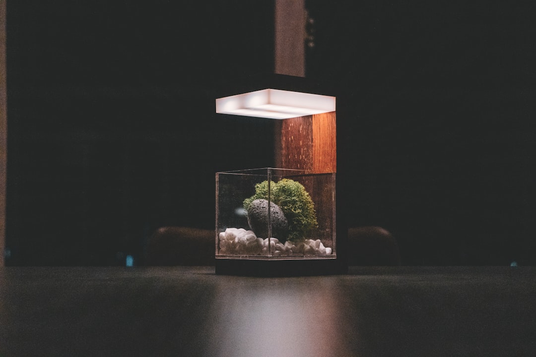 Aquascape for Office Desks in Singapore
