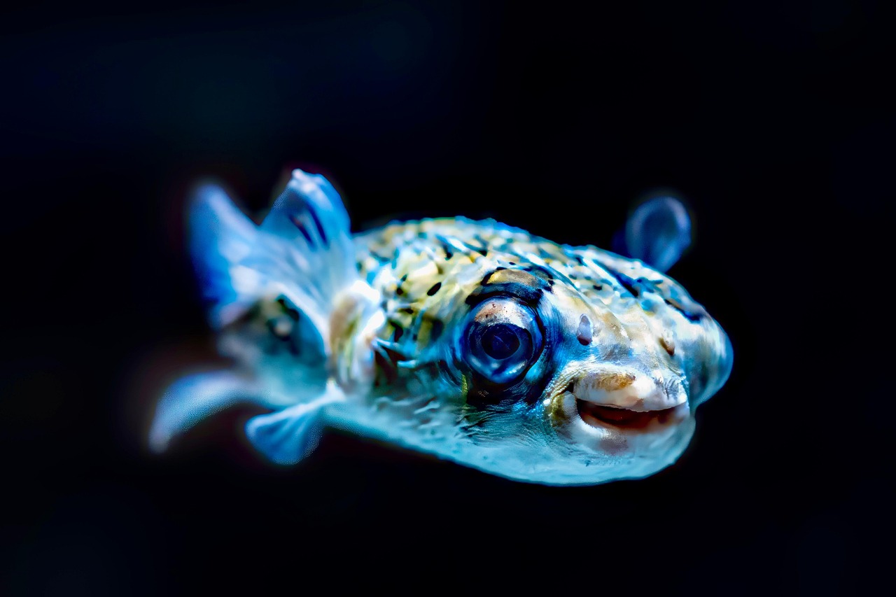 Aquascaping for Office Lobbies