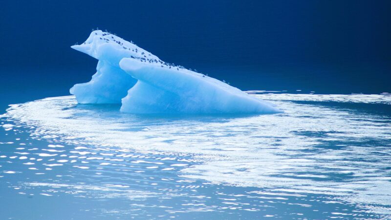 Aquascape Inspiration From Singapore's Natural Waterways