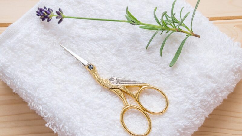 Essential Aquascaping Maintenance Tools