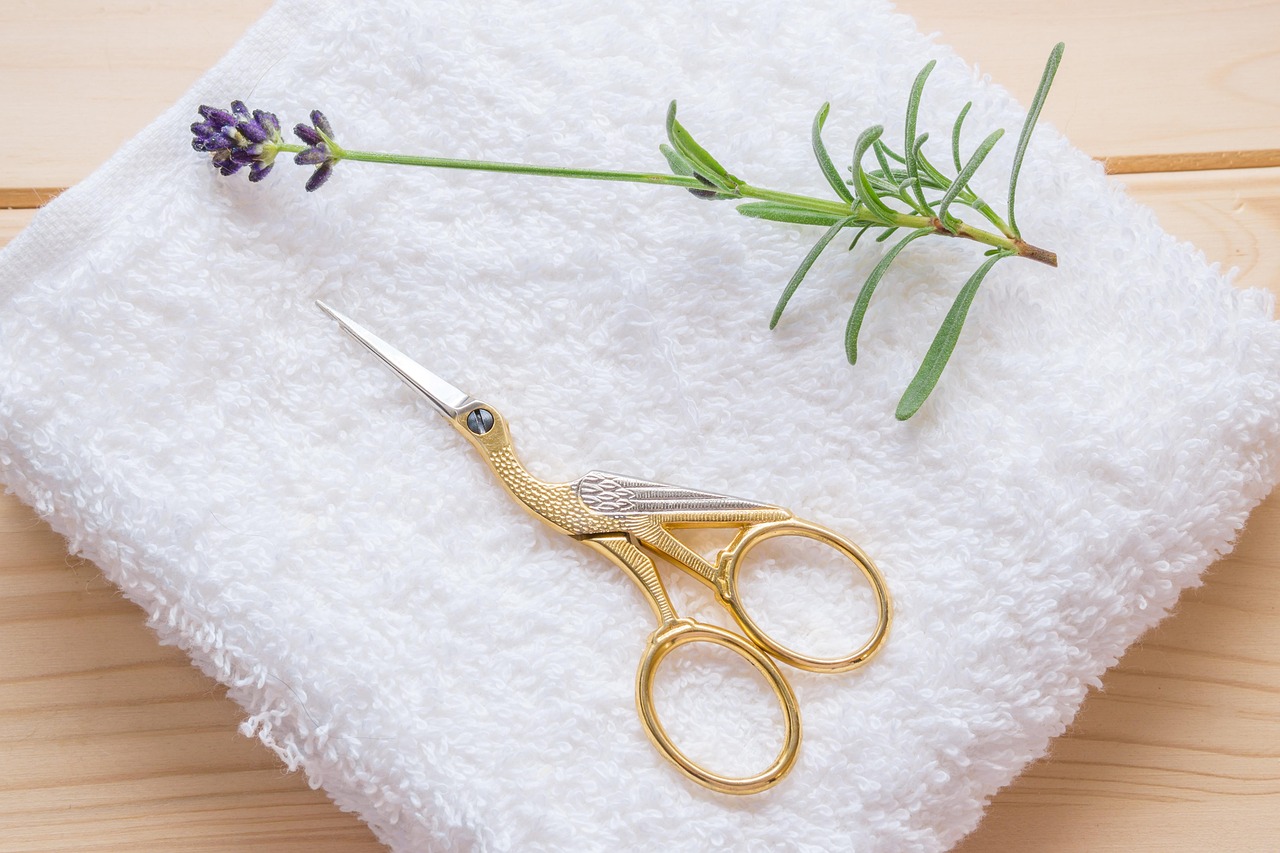 Essential Aquascaping Maintenance Tools