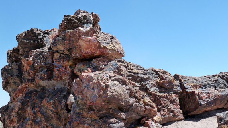 petrified wood, petrified forest national park, arizona, usa, tourist attraction, nature, desert, hot, dry, colorful, petrifi