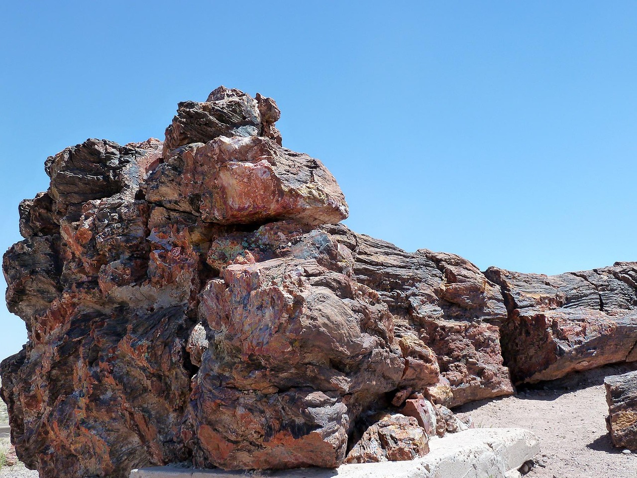 petrified wood, petrified forest national park, arizona, usa, tourist attraction, nature, desert, hot, dry, colorful, petrifi